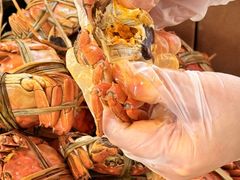 -蟹村草堂·苏式园林人文农家·大闸蟹