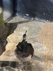 -酷嗒动物文化乐园(cutezoo西溪乐天城店)