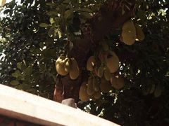 -厦门良筑精品酒店(厦门中山路店)