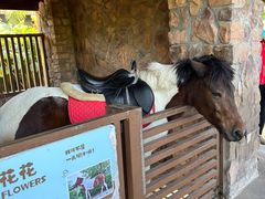 -珠海海泉湾神秘岛亲子乐园