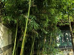 -王家大院