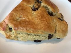 提子干黄油司康-星巴克(秦皇岛乐都汇店)