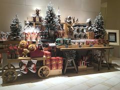 -丽思卡尔顿酒店泳池(金融街店)