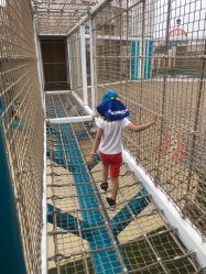 -季高兔窝窝亲子园(上海薰衣草公园店)