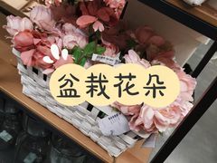 -宜家家居(哈尔滨商场店)