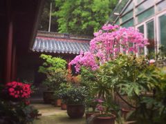 iphone_upload_pic-普陀山慧济禅寺