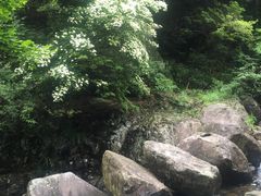 -白云源风景区
