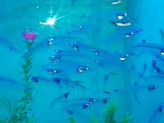-常州海昌海洋探索馆