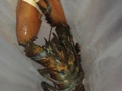 -盒马鲜生(大成店)