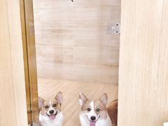 -Double Rui宠物酒店