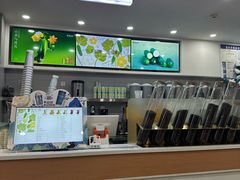-雾与山茶(大禹城店)
