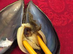-台山美食一绝阿四台山黄鳝饭(阿四创作店)