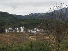 -塔川景区