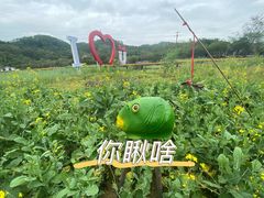 -红山村
