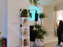 -春树下·树屋花房西餐厅(罍街AS1980店)