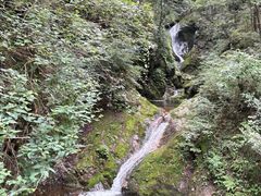 -牛背梁国家森林公园