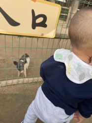 -上美四季动物农场