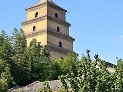 -大慈恩寺(大雁塔)