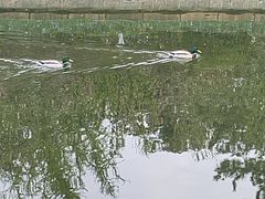 -元大都城垣遗址公园