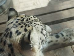 -青藏高原野生动物园