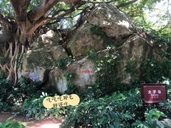 -宋井风景区