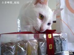 切片干蛋糕套装1-西点坊(浦东香格里拉店)