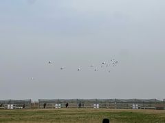 -盐城丹顶鹤湿地生态旅游区