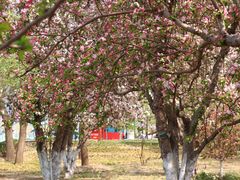 -元大都城垣遗址公园