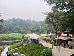 -火炉山森林公园