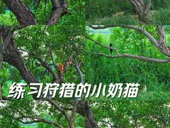 -颐和园