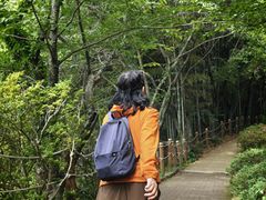 -汉拿树木园