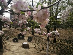 -元大都城垣遗址公园