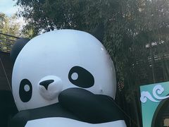 -杭州植物园