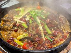 -老板恋上鱼(恒隆广场店)