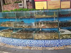 -蟹谢蒸鲜自助餐厅