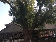 -戚继光纪念馆