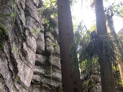 -梭布垭石林景区