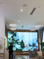 -深圳美莱医疗美容医院