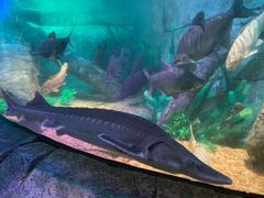 -沈阳海洋探索中心