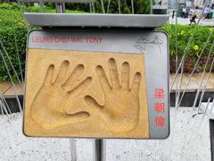 -星光大道