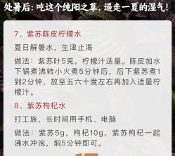 -雅曼妮spa美容养生