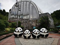 -石排湾郊野公园
