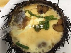 -海胆小馆(东北水饺·春柳店)