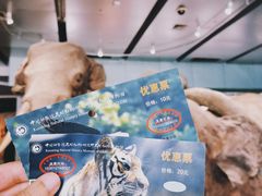 -昆明动物博物馆