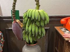 -阿莉餐厅(枣阳路店)