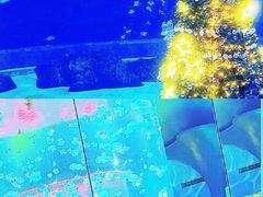 -上海海昌海洋公园