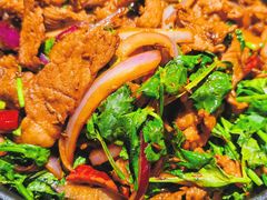 -九毛九西北菜(大东海店)