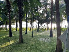 -南湾猴岛+椰田古寨一日游