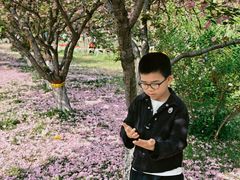 -石家庄市植物园