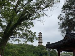 -江心屿景区